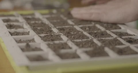 Seeding tray Prep Indoor - RAW FX6 Stock Footage 306169104