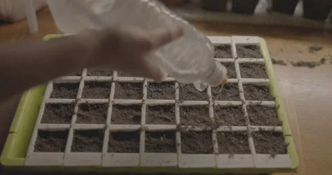 Seeding tray Prep - RAW FX6 1 Stock Footage 306174667