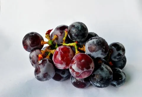 Seedless grapes  isolate on white background Stock Photos