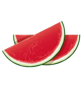 Seedless watermelon 库存插图
