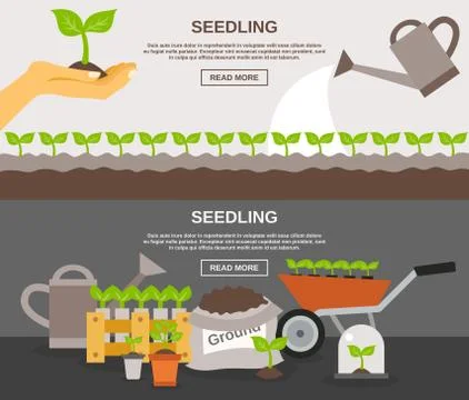 Seedling Banner Set 库存插图