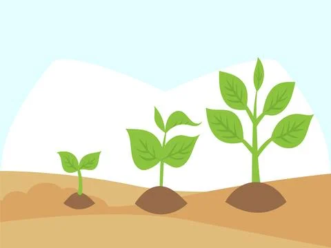Seedling Concept Illustration Illustration