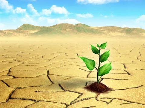 Seedling in the desert Illustrazione stock