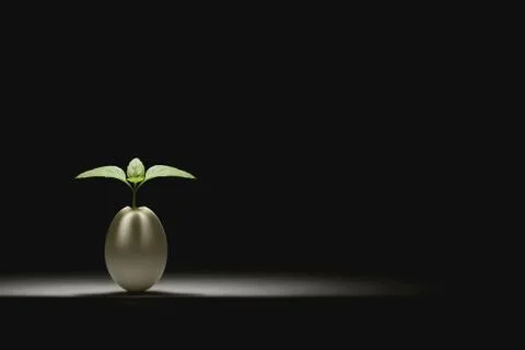Seedling in egg shell Stock Photos