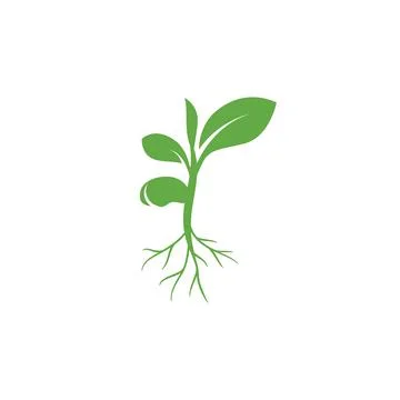 Seedling flat icon Stock Illustration