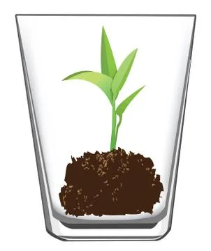 Seedling in glass Illustration