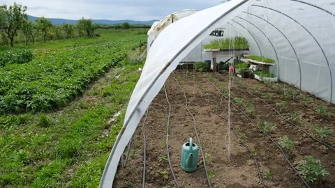 Seedling Greenhouse Stock Footage 131106667