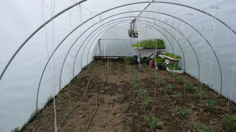 Seedling Greenhouse Stock Footage 131108097