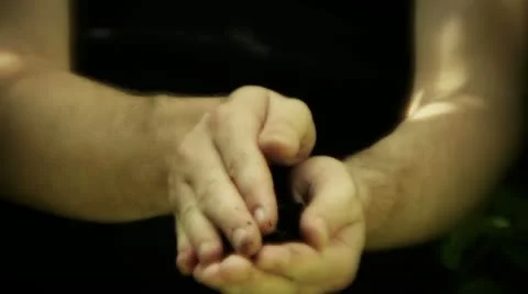 Seedling growing in hand Stock Footage 10967065