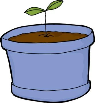 Seedling Growing in Pot Illustration