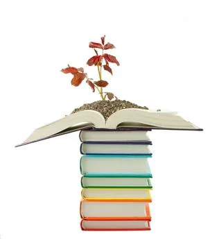 Seedling grown from the stack of books isolated on white Seedling grown fr... Foto stock
