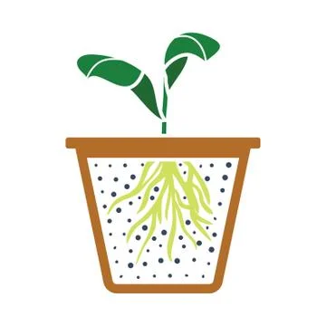 Seedling Icon Illustration