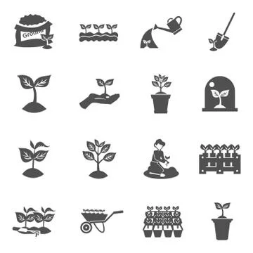 Seedling Icons Set Illustration