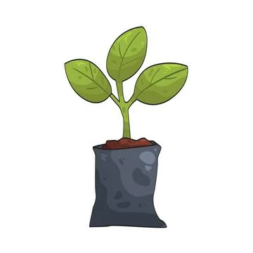 Seedling illustration Illustration
