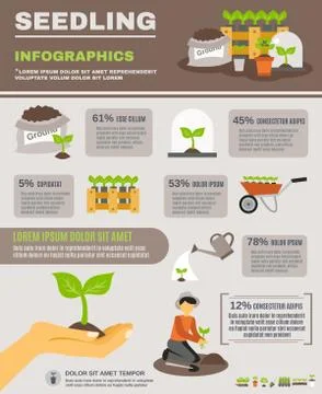 Seedling Infographics Set イラスト素材
