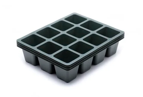 Seedling Stock Photos