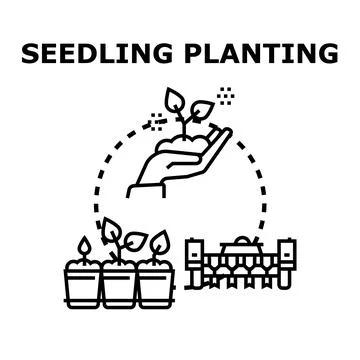 Seedling planting developing new growth future farming Stock Illustration