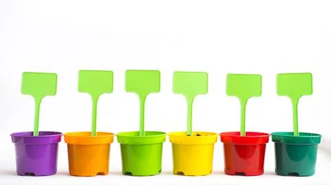 Seedling pots Stock Photos
