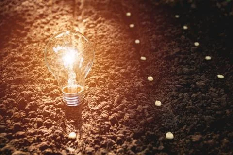 Seedling in the soil with light bulb for saving energy and power concept. Stock Photos
