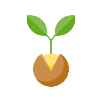 Seedling, sprout or sapling isolated on white background vector illustration Stock Illustration