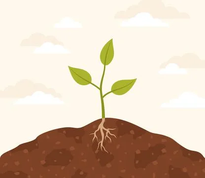 A seedling sprouting from the ground. Flat vector illustration Stock Illustration