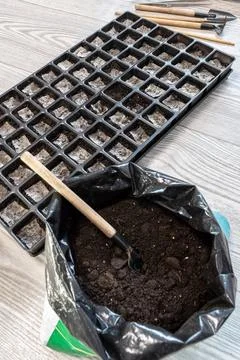 Seedling tray with various cabbage seeds ready to be covered with soil Stock Photos