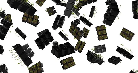 Seedling Trays falling slow motion Stock Footage 251845011