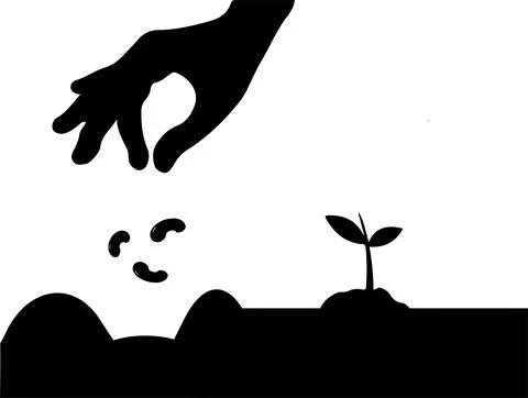 Seedling vector on white background Stock Illustration