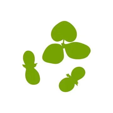 Seedling on a white background. Vector illustration on white isolated backgro Stock Illustration