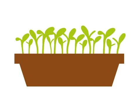 Seedling on a white background. Vector illustration on white isolated backgro Stock Illustration