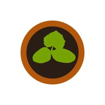 Seedling on a white background. Vector illustration on white isolated backgro Stock Illustration