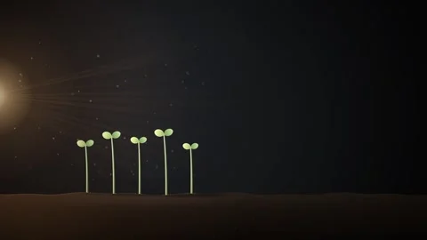 Seedlings Bending Toward Warm Light Phototropism Growth Animation Видео 347567668