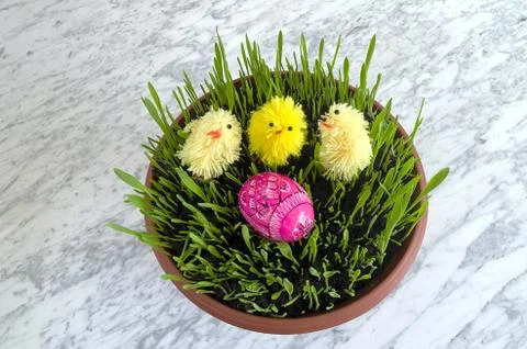 Seedlings easter with easter eggs, chicks on a marble table Stock Photos