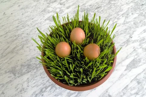 Seedlings easter with easter eggs on a marble table Stock Photos