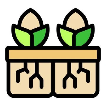 Seedlings growing in pots with visible roots and wooden support Stock Illustration