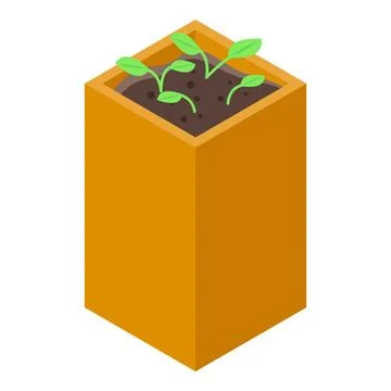 Seedlings growing in a square pot, isometric view Stock Illustration