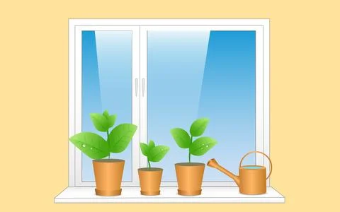 Seedlings in spring in pots stand on the windowsill, watering can. Young plants Stock Illustration