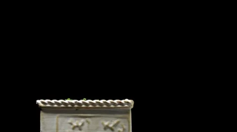 Seedlings Timelapse Stock Footage 7985423