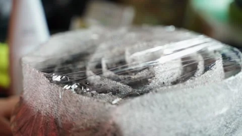 Seedlings using the snail technology were covered with a transparent plastic Stock Footage 312195344