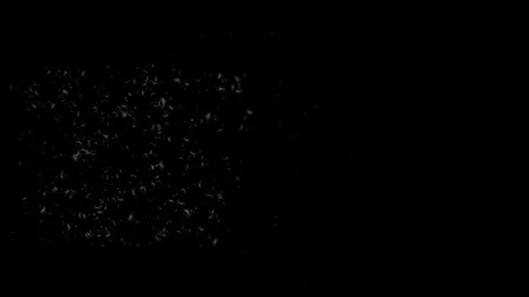 Seeds 1 Stock Footage 95664559