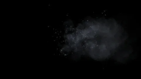 Seeds 2 Stock Footage 95683820