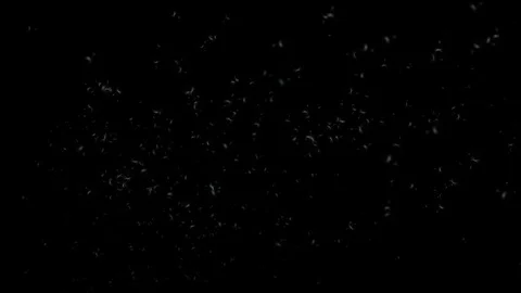 Seeds 6 Stock Footage 95689272