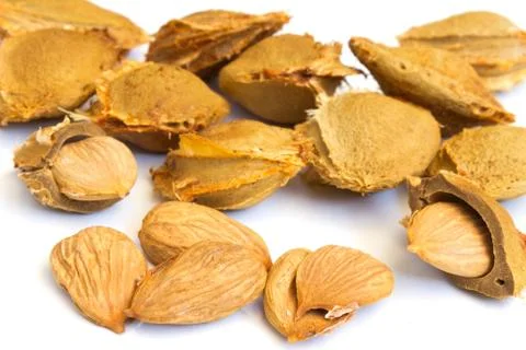 Seeds and apricot kernel Stock Photos
