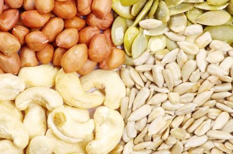 Seeds and nuts Foto stock