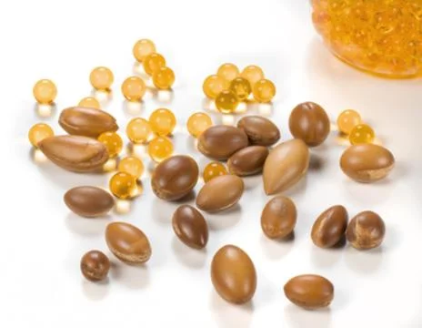Seeds of argan Stock Photos