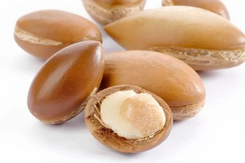 Seeds of argan on white,a close up Stock Photos
