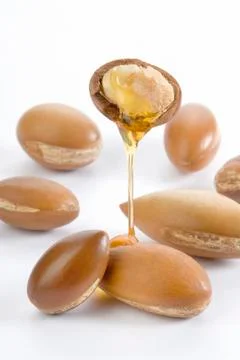 Seeds of argan on white,a close up Stock Photos