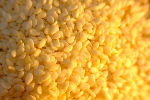 Seeds background and pattern healthy food Stock Photos