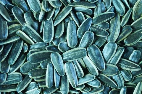 Seeds background. Stock Photos
