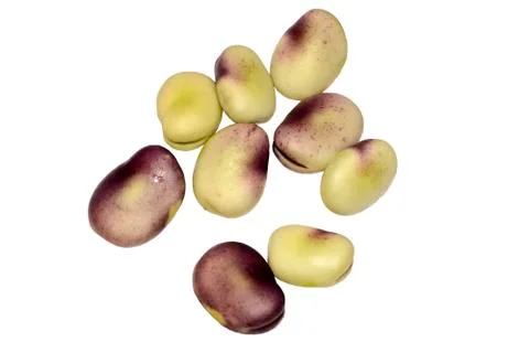 Seeds beans Fotos de archivo